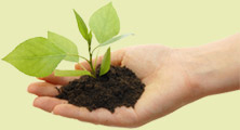 we nurture the plants we grow