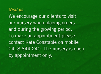 We encourage our clients to visit our nursery when placing orders and during the growing period. To make an appointment please contact Kate Constable on mobile: 0418 844 240. The nursery is open by appointment only.  